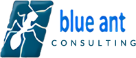 Blue Ant Consulting Logo